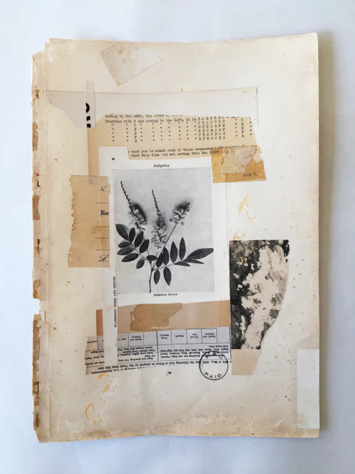 Timeless Style for Modern Living